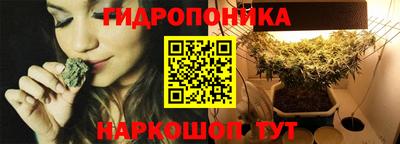 apvp Чебоксары
