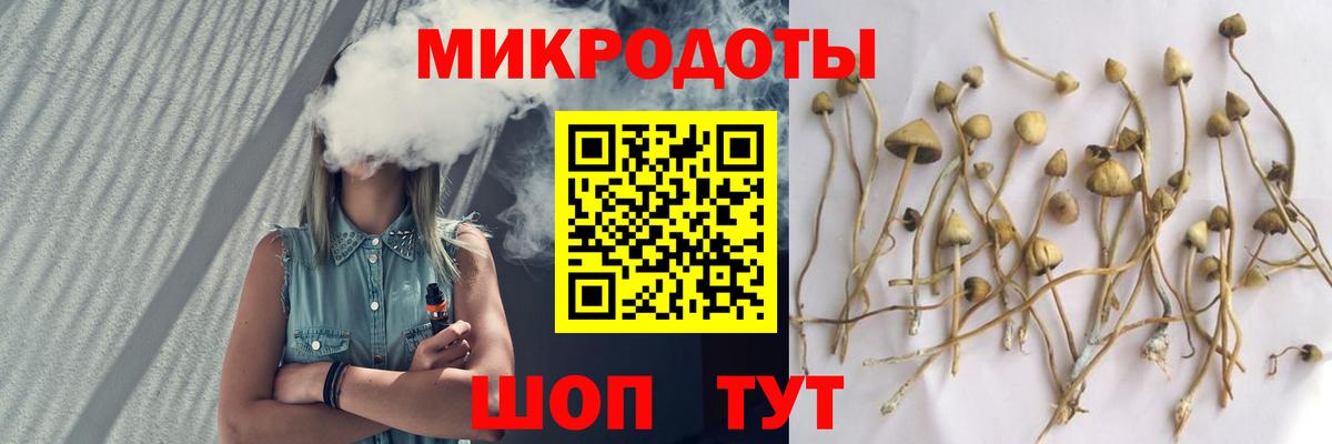 Псилоцибиновые грибы MAGIC MUSHROOMS Мирный
